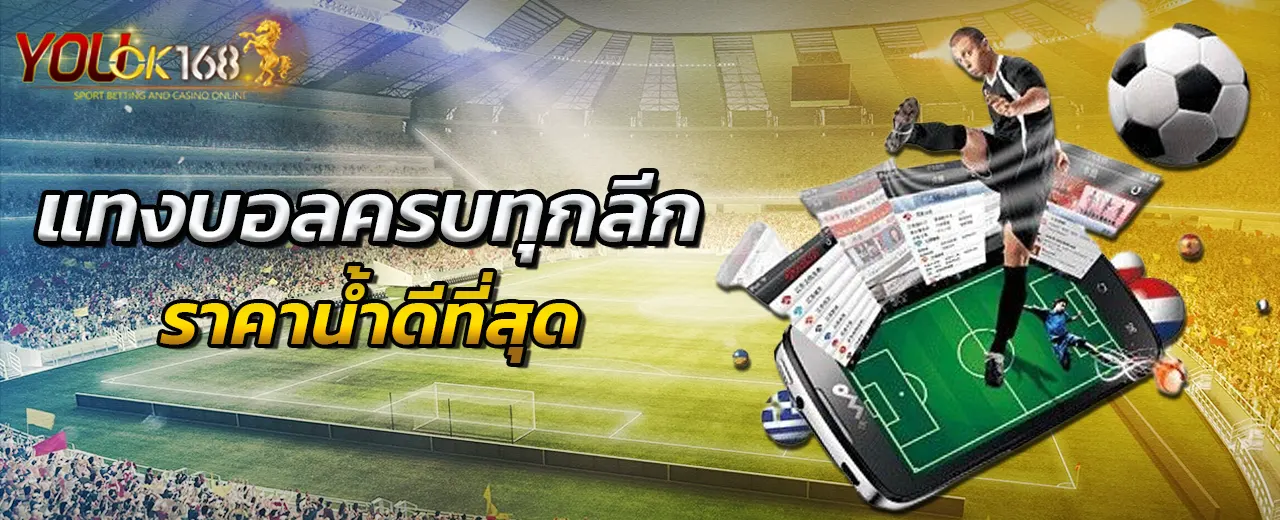 แทงบอลครบทุกลีก ราคาน้ำดีที่สุด